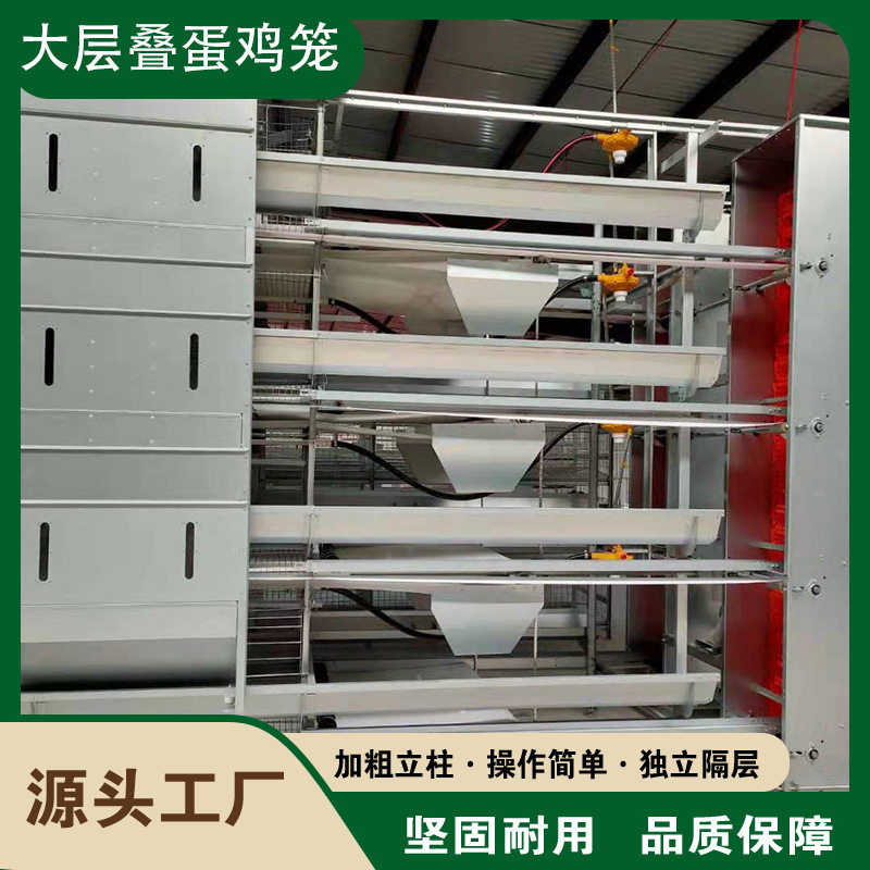 一体化蛋肉鸡笼捡蛋机笼