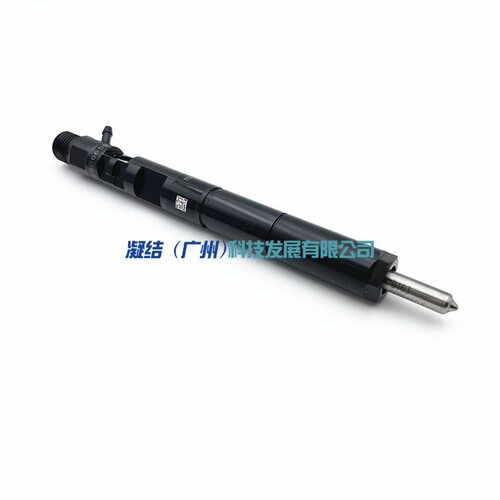 江铃 JX493ZLQ3A 2.8 发动机全顺 德尔福共轨喷油器R03301D