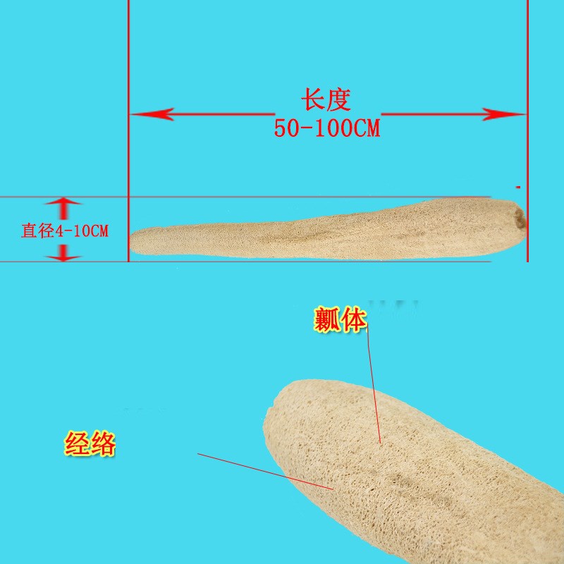 自销丝瓜产地种植自然生长丝瓜瓤 丝瓜络原材料W销售丝瓜锅刷