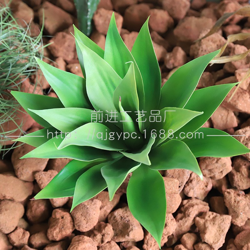 成套绿植景观套装沙生植物u仿真绿植堆景造景仙人掌龙舌兰景观装