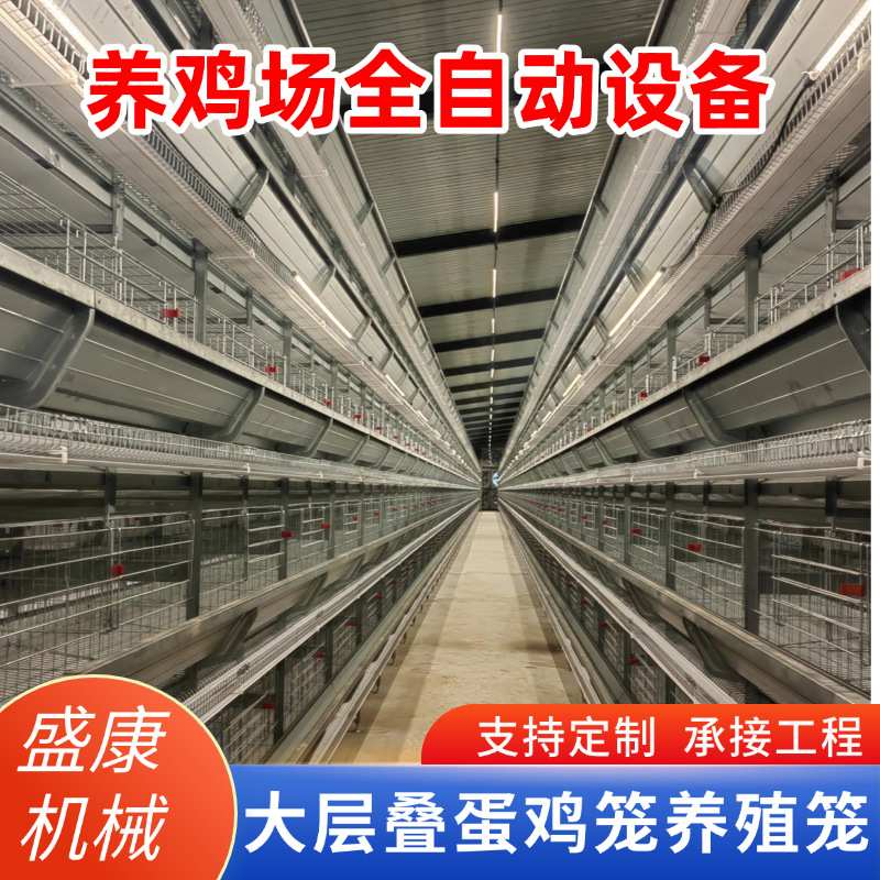 大层叠立式多层蛋鸡笼养殖场机械农场全自动集蛋清粪养鸡蛋鸡笼
