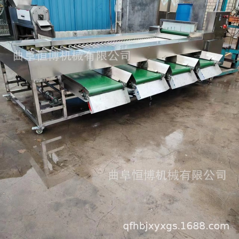 供应李子草莓分拣机 土豆大蒜分大小设备 小型轨道式柑橘分拣机
