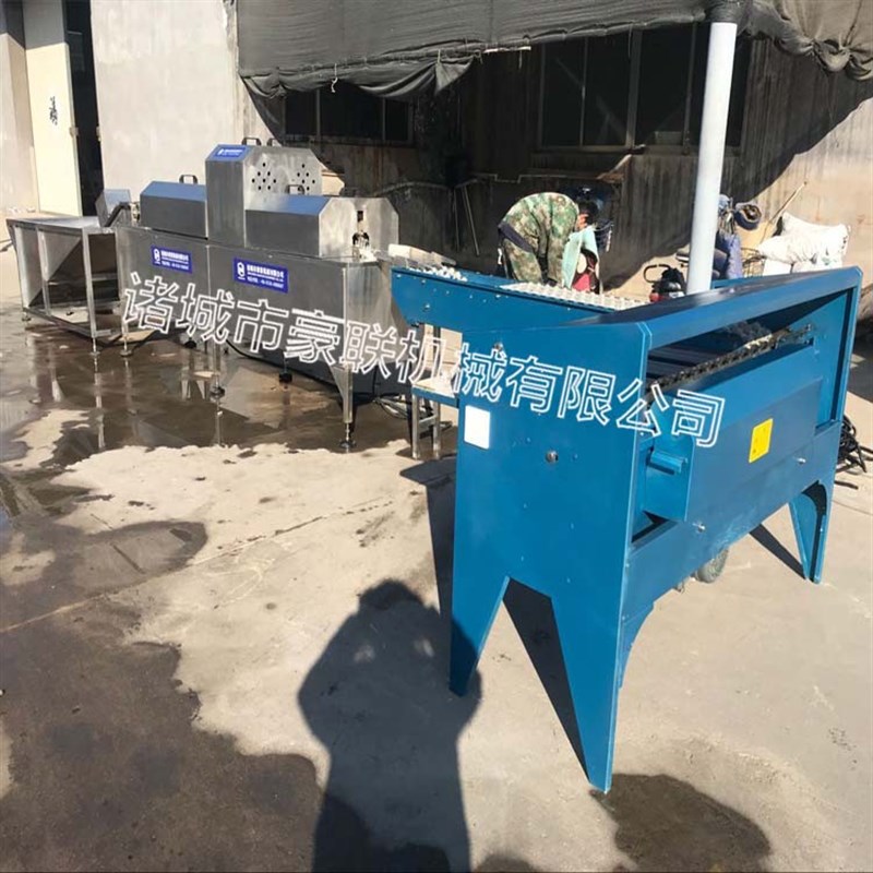 供应鸡蛋称重分级设n备 鸡蛋鸭蛋自动称重分级分选机 山鸡蛋分级