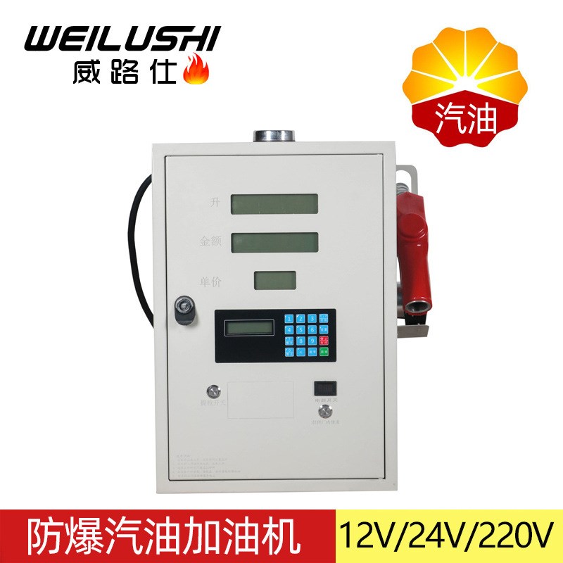 防爆汽油加油机小型车载加油机12V24FV220V加油设备大流量抽油机