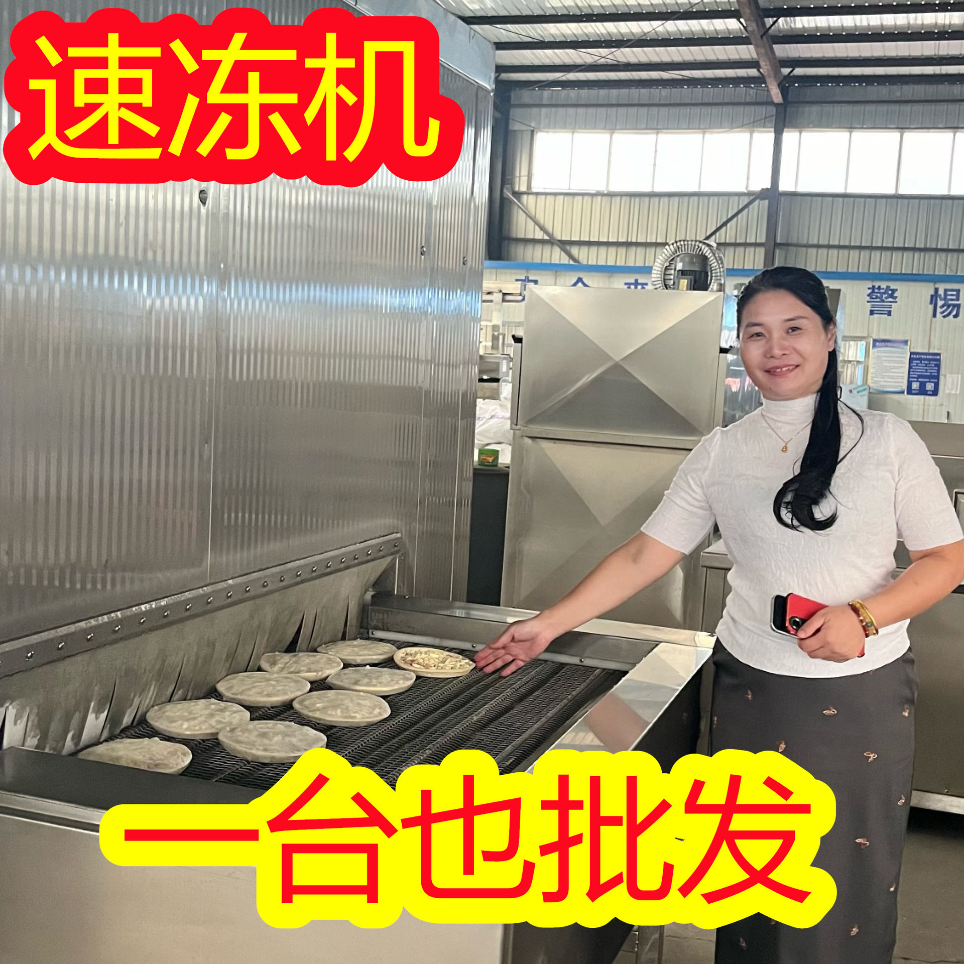 虾饺速冻机 披萨 墨鱼丸虾滑单冻设备 超低温章鱼冷冻机批发