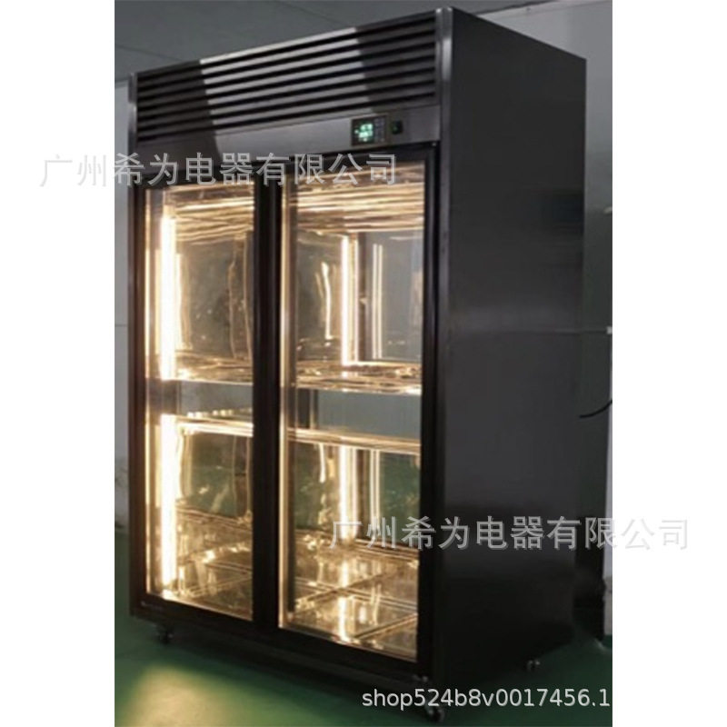 黑色智能双大门晾鸭柜风干冷藏保鲜柜 乳鸽烧鹅烧腊 吹鸭柜展示柜