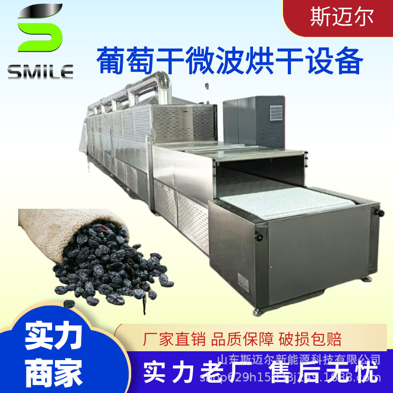 斯迈尔隧道式微波葡萄干烘干机