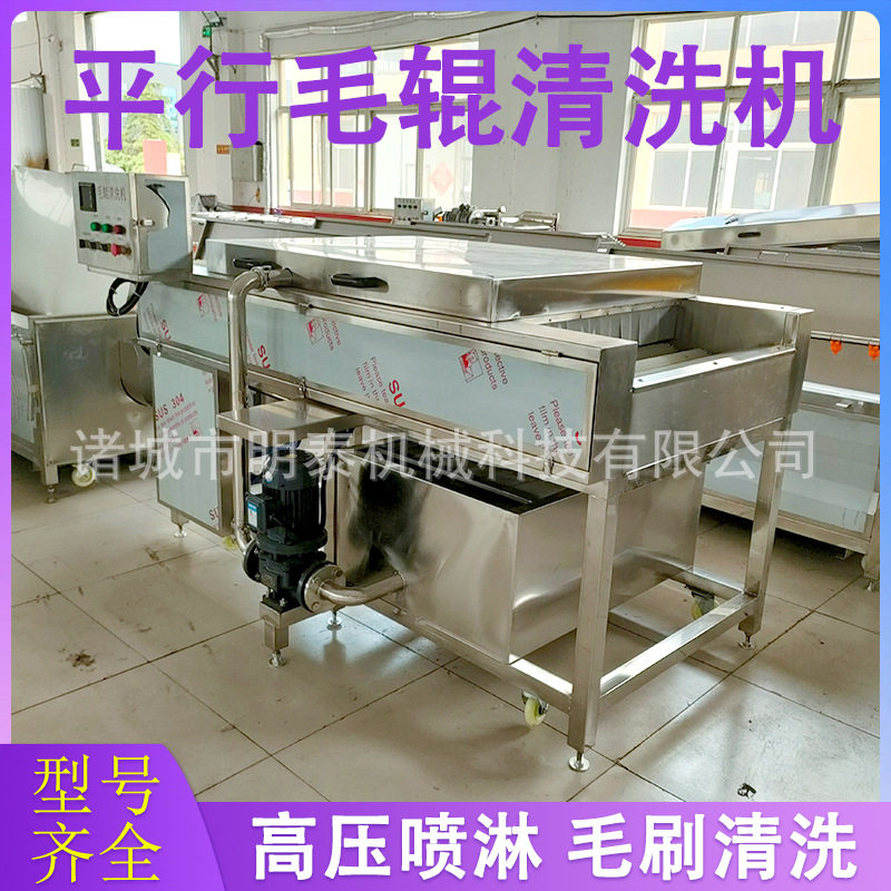海蛎子平行毛辊清洗机 砂糖橘沃柑毛刷洗果机 根茎类蔬菜洗菜机