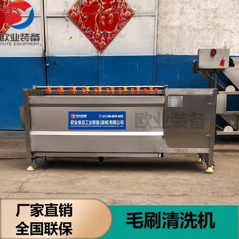 不锈钢猫叔清洗机 土豆去泥去皮清洗机 马X蹄毛辊清洗机