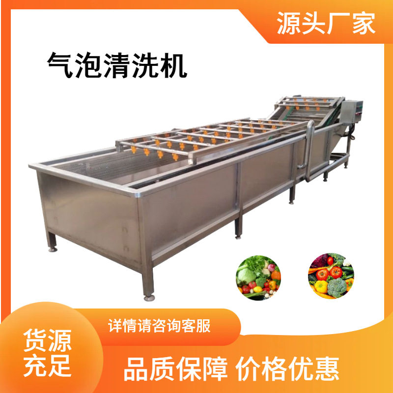 大型果蔬气泡清洗机蔬菜清洗机器西红柿黄瓜梅干菜气泡清洗机器