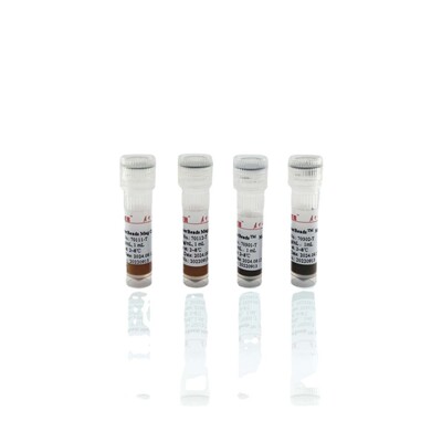 海狸羟基磁珠2um5mL10mg现货