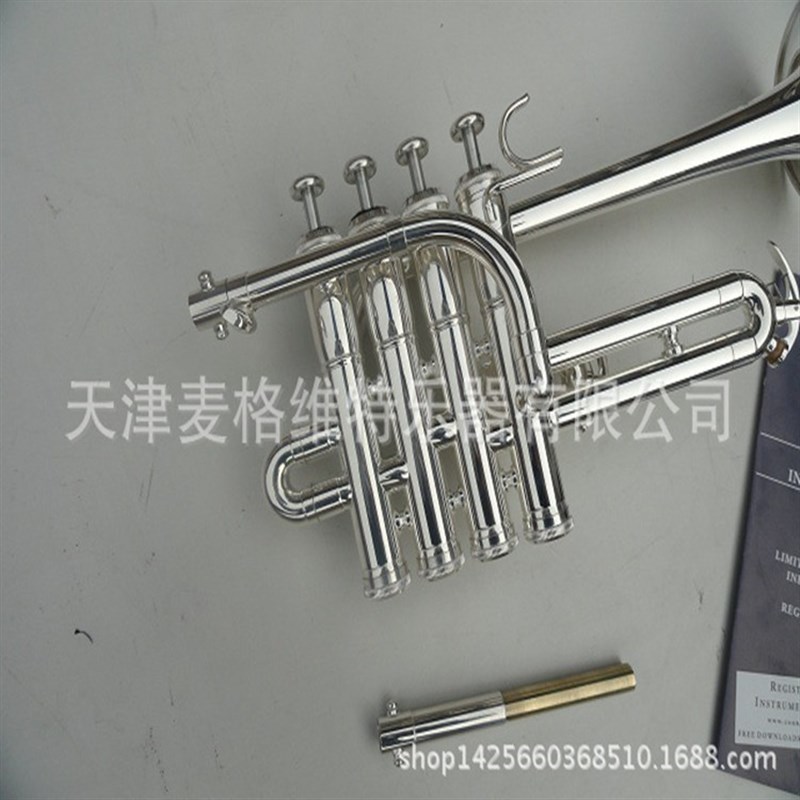 初学西洋吹奏小m号乐器 降B四键小号乐器铜管小号