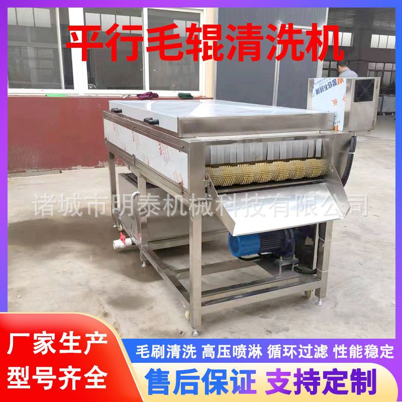柑橘生蚝根茎毛辊去泥清洗机