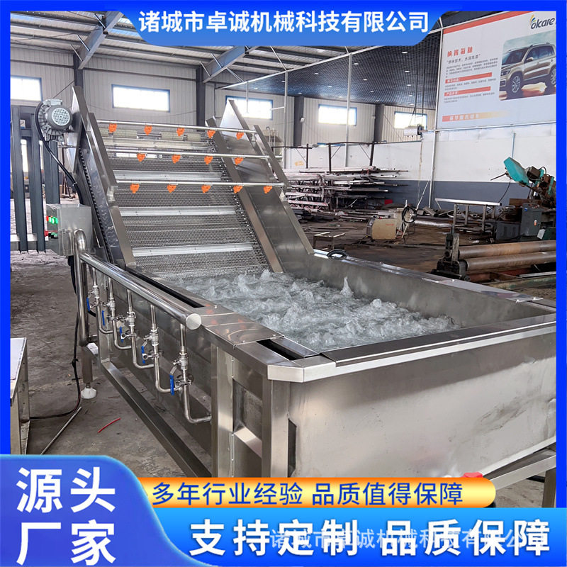 全自动水果蔬菜气泡式大型清洗机多功能去农残清洗设备