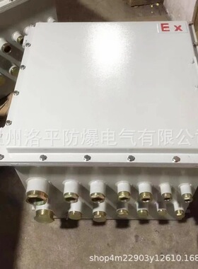 防爆接线箱 不锈钢防爆接线箱 防爆分线箱 BJX系列防爆接线箱