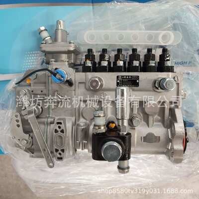 1001583550 潍柴喷油泵 潍柴原厂喷油泵总成 龙泵120L4  BH6PA