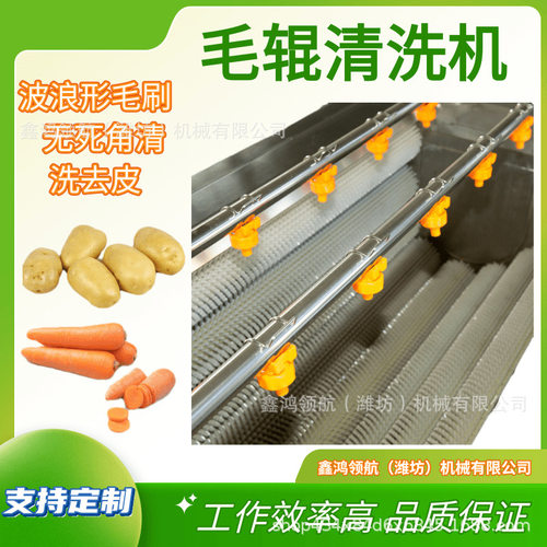 毛辊清洗机 大型胡萝卜土豆清洗去泥机根茎类果蔬清洗去皮机设备
