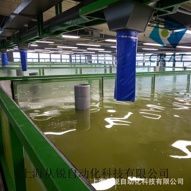 上海从锐工程化水产养殖/室内循环水养殖成套系统/高密度