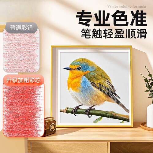 彩铅绘笔画画48色水溶性彩画笔油性美术F766SM5T生业手铅画套装7
