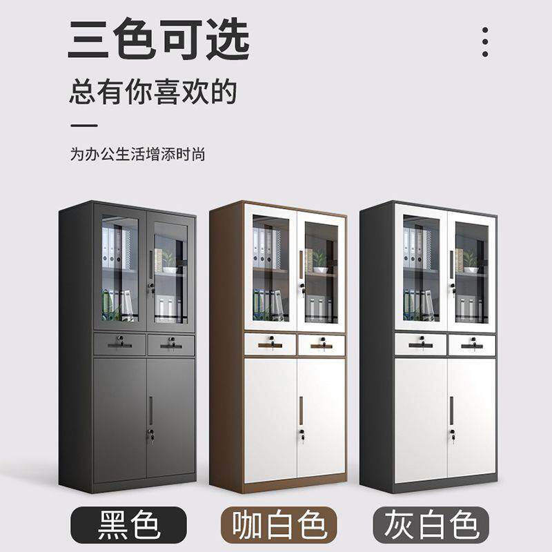 柜办公柜钢制铁柜资料柜档10080603案柜储物文柜拆件装柜凭证柜皮