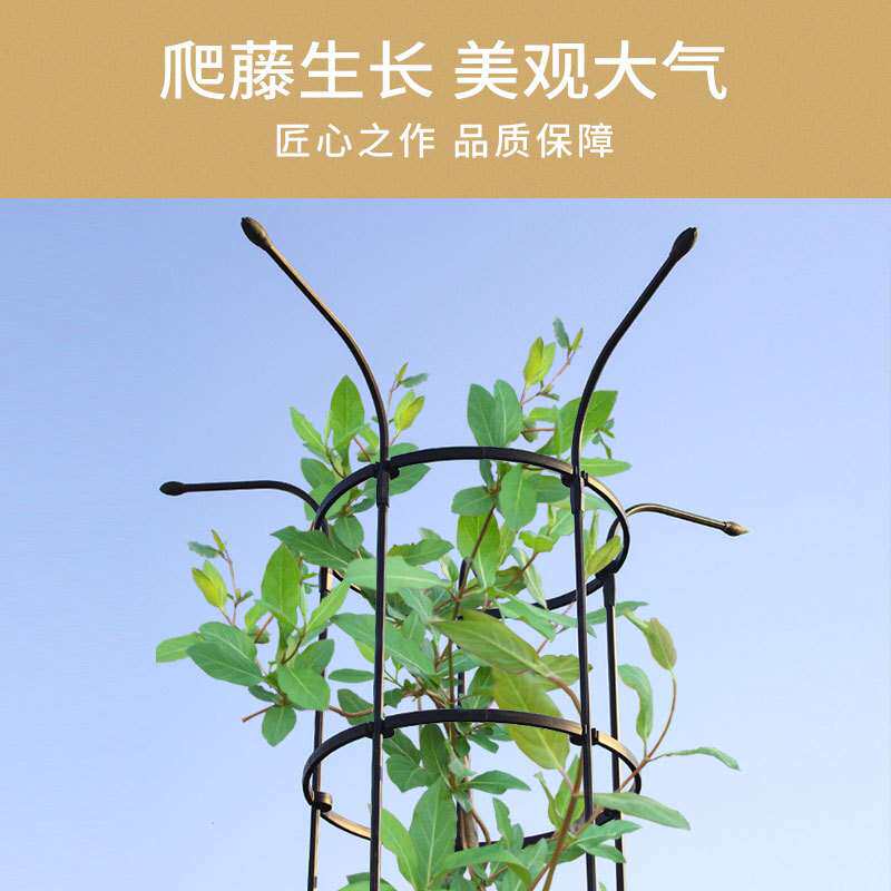 枝晓 爬藤花伞 花架爬藤架月季支架铁线莲攀爬架子花爬架花支撑杆