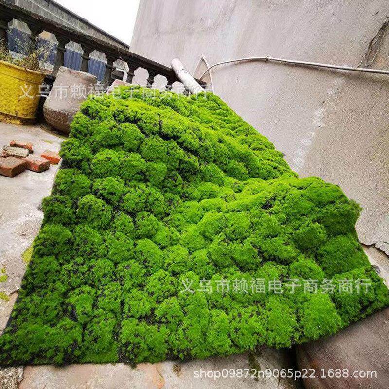 厂家直供仿真苔藓草坪植物墙背景橱窗婚庆盆景盆栽青苔一件代发