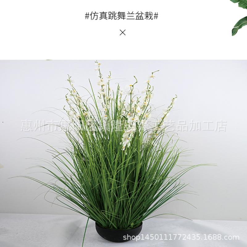 仿真跳舞兰文心兰假花盆栽婚庆场景布置跨境芦苇草盆栽仿真蝴蝶兰