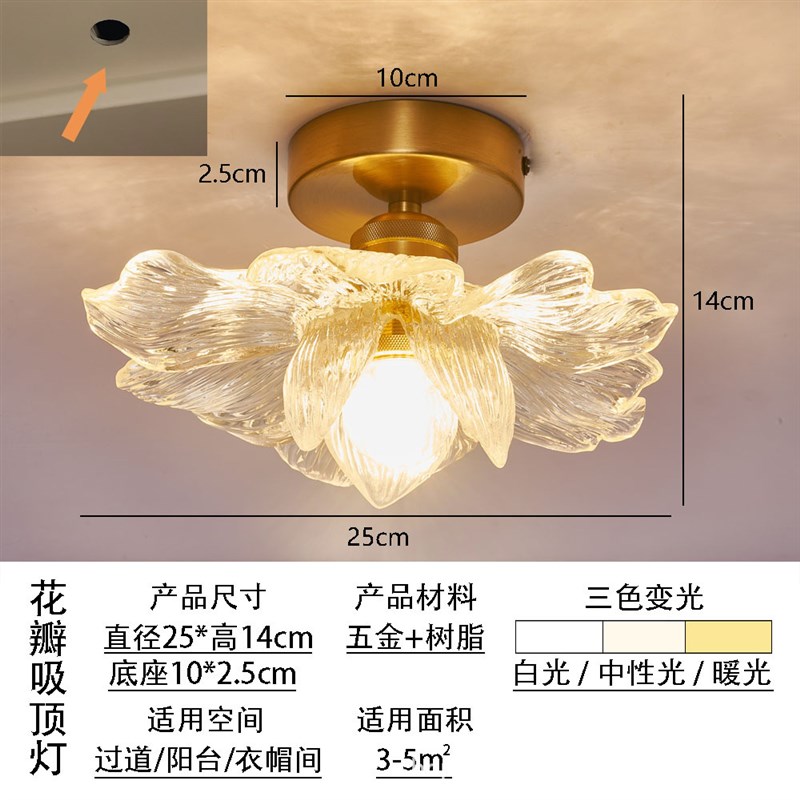 花瓣过道灯走廊现代简约网红阳台灯楼梯灯入户玄关衣帽间吸顶灯具