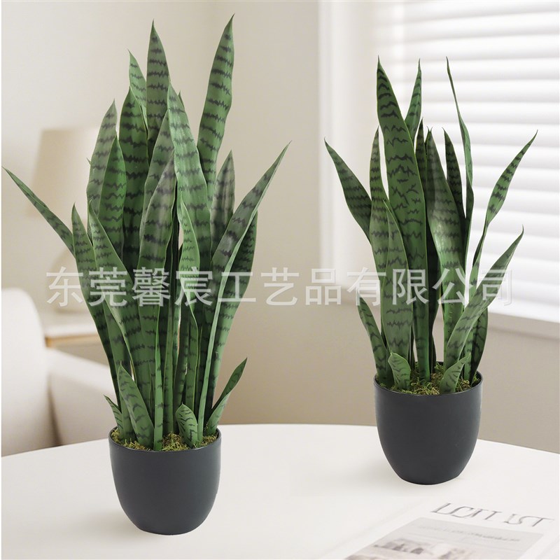 仿真虎皮兰绿色植物绿植黄边绿植盆栽人造假植物虎皮兰仿真