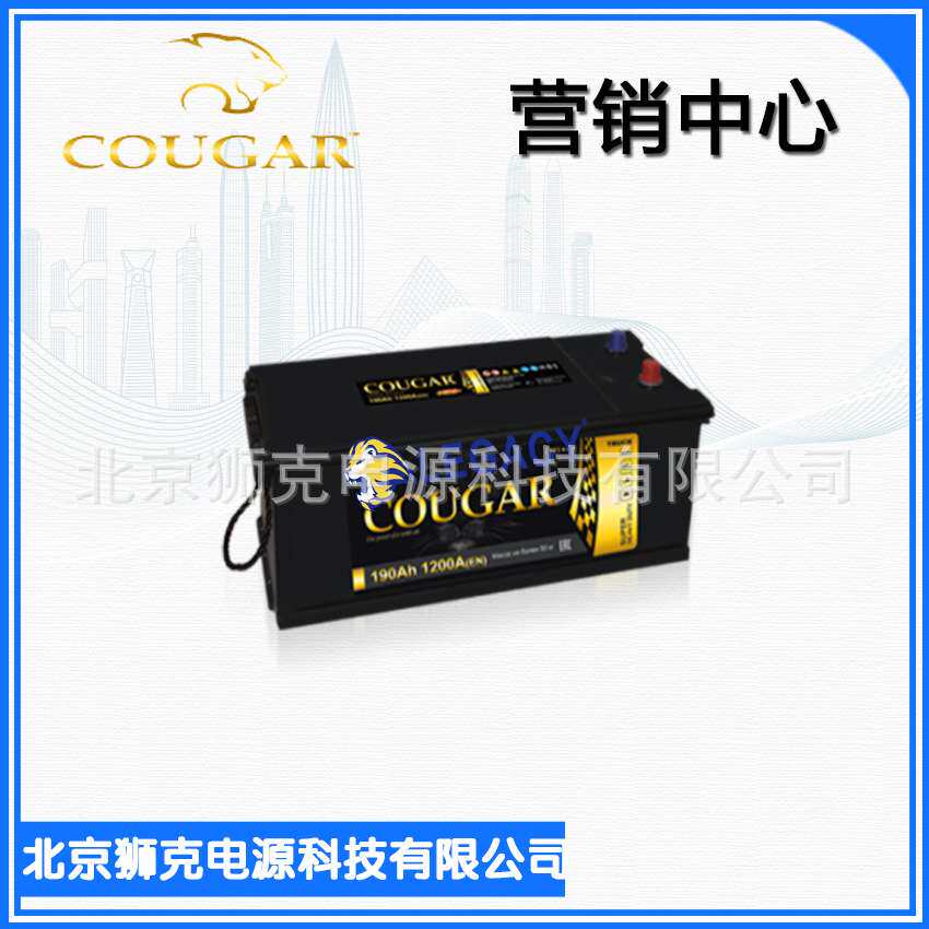 COUGAR蓄电池SMF 73011 12V230AH 1200CCA 商用车及设备电池