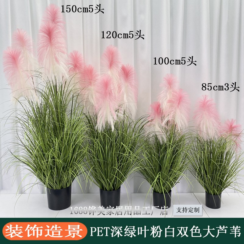 工厂直销客厅大型假绿植仿真植物装饰造景大头粉色芦苇盆栽摆件