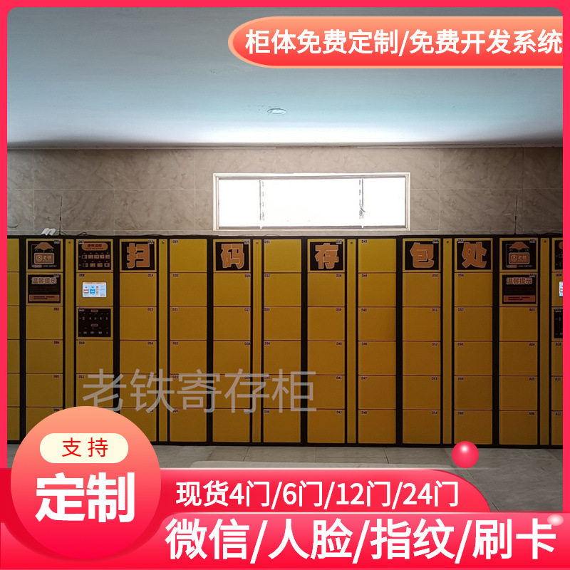 智能指纹识别储物柜/单位公司公司职员工文件柜/联网电子储存柜子图片