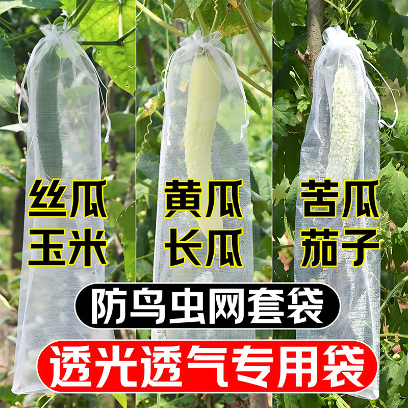 长丝瓜网眼套袋黄瓜青瓜苦瓜套袋