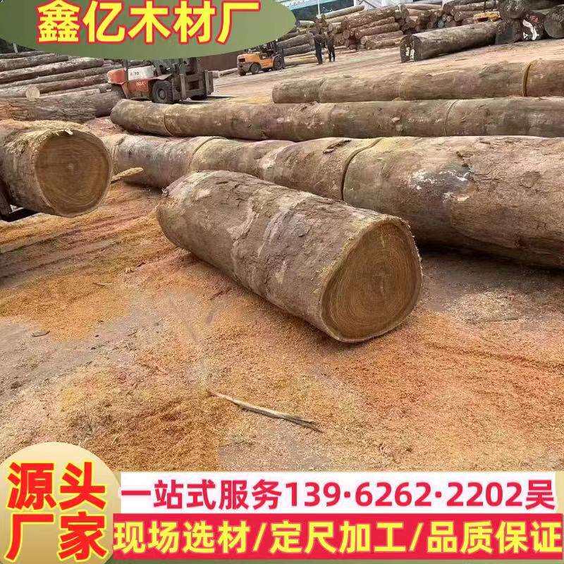 黑龙凤檀 二翅豆 原木木材 南美龙凤檀 家具地板木料 南美酸枝