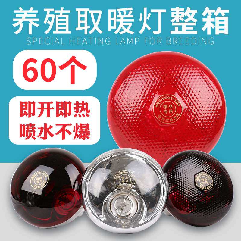 猪用保温灯保温灯泡畜牧取暖灯宠物养殖保暖灯母猪产床保温箱配件