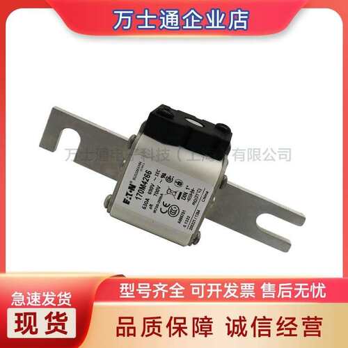 170M4067170M4068170M4069170M5058170M5059170M5060熔断器