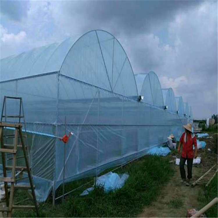 一体化po膜薄膜温室拱棚双拱双模圆拱形大棚葡萄种植采摘园林