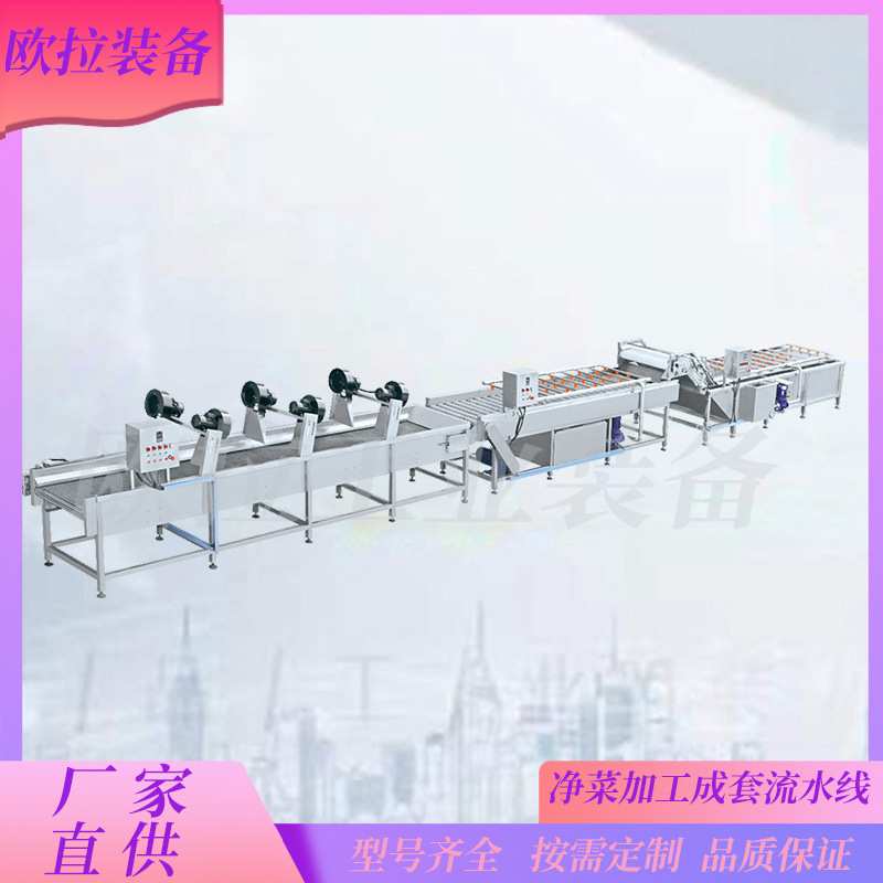 全自动果蔬清洗机 喷淋式不锈钢清洗设备 猪肉鸡肉类清洗机器