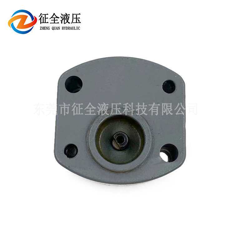 征全无人航拍飞机齿轮泵小型微型飞机燃油泵低压泵电动机系统油泵
