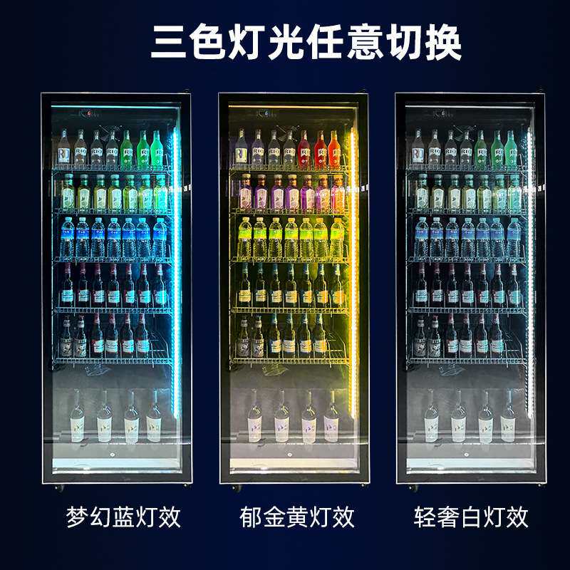 双门饮料酒水柜立式冰箱酒吧啤酒柜保鲜冷藏柜便利店冰柜商业用