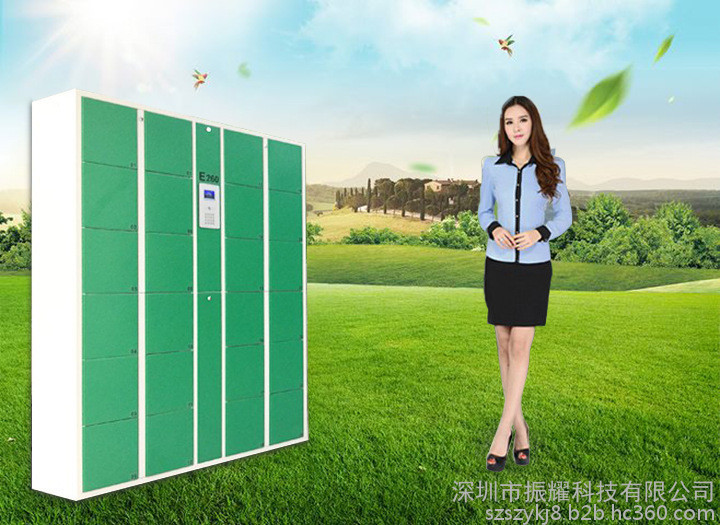 厂家直销工厂员工智能储物柜 指纹寄存柜 刷卡存储柜 安全防撬