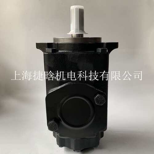 T6ED-052-028-1R00-C100 双联叶片泵 丹尼逊DENISON系列 油泵