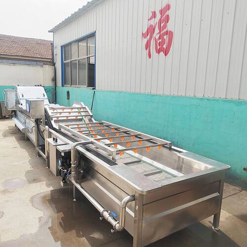 肉类解冻清洗流水线 荠菜清洗流水线 预制菜加工设备厂家