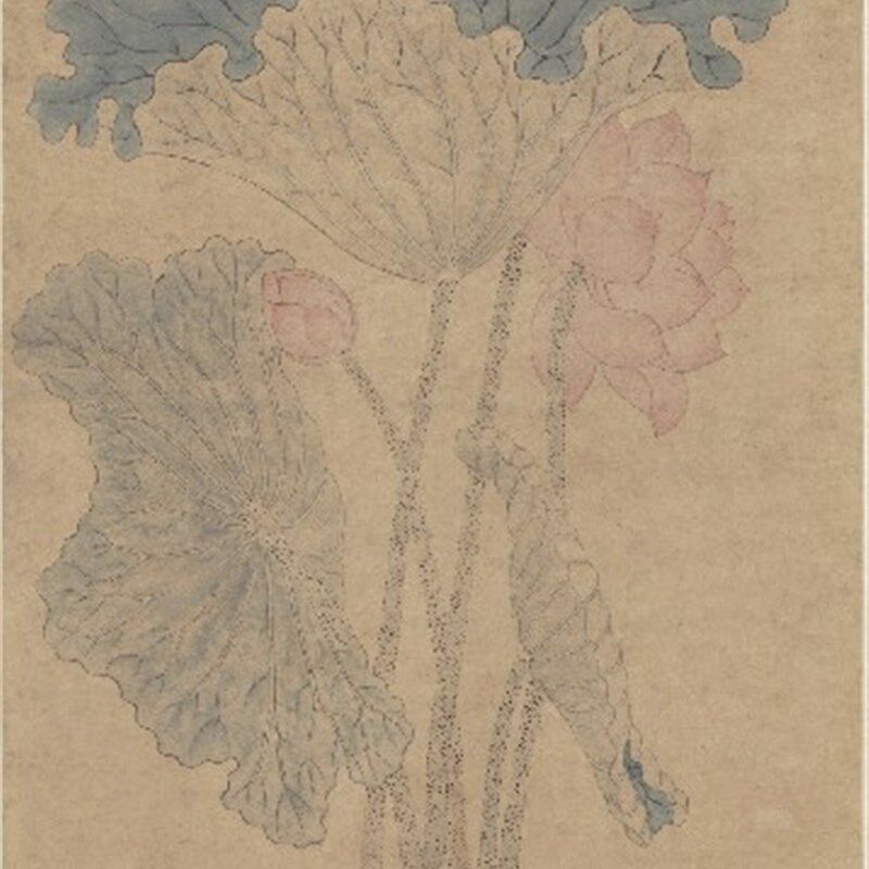 《瓶荷图》 明 沈m周 画家 名人字画 60*142cm 包邮