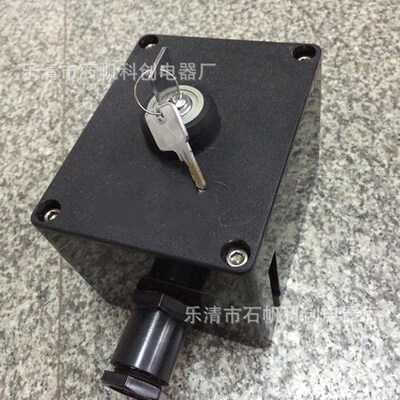 防爆防腐带锁开关 BCSD-10A-G-S1/1D