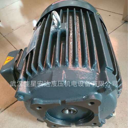 5HP-4P欧颂OSHON卧式三相无轴直插式油泵电机3.75KW内轴C05-4B0