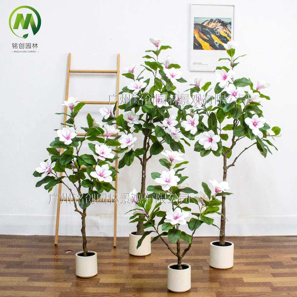 高级绿植仿真玉兰树盆栽室内假树客厅大型落地玉兰花树装饰摆件