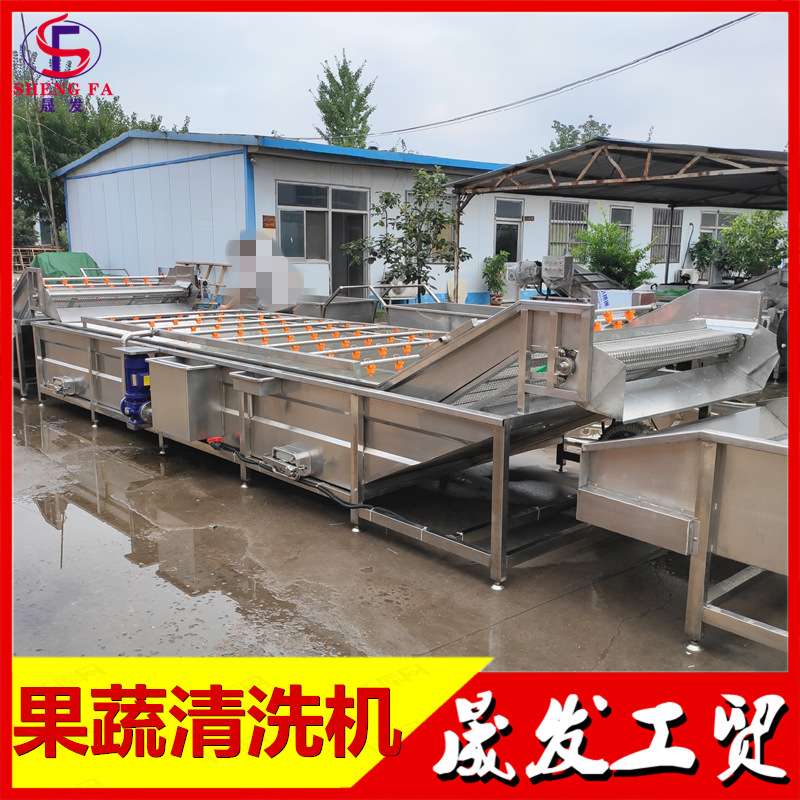 秋葵气泡翻浪清洗机 扁豆青毛豆鼓泡清洗机 净菜加工流水线