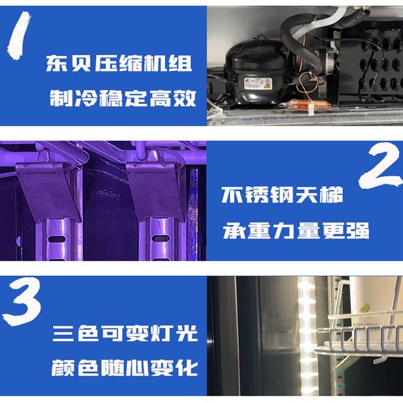 网红冷藏展示柜酒吧KTV酒水饮料冷藏柜风冷冰箱三色灯光保鲜柜