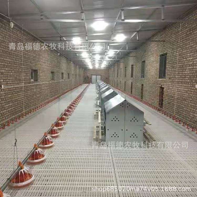 产蛋箱厂家货源 多穴鸡用产蛋箱降低破损率 提高产蛋率 - 实物图